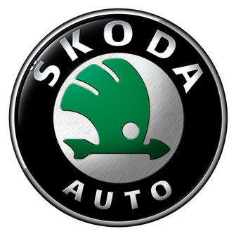 Revisie van Uw Skoda motor