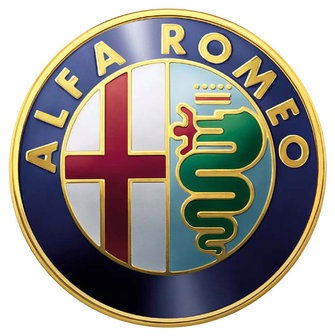 Revisie van Uw Alfa Romeo motor