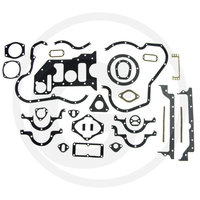 Carterpakkingset Eicher 3155 3253 3254 3255 3256